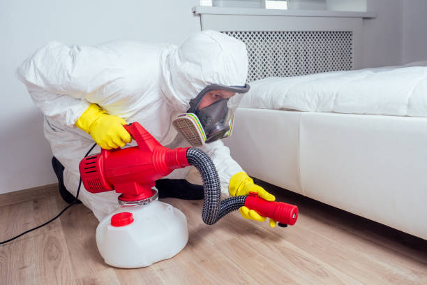 Professional Pest Control in Crowley Lake, CA